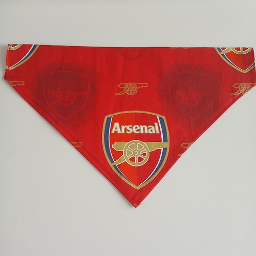 Large arsenal football club - arsenal,
